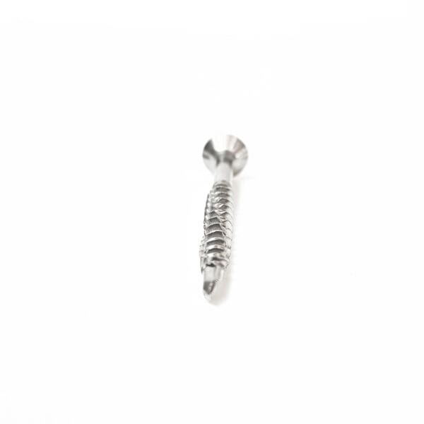 Baseboard Screw - Image 3